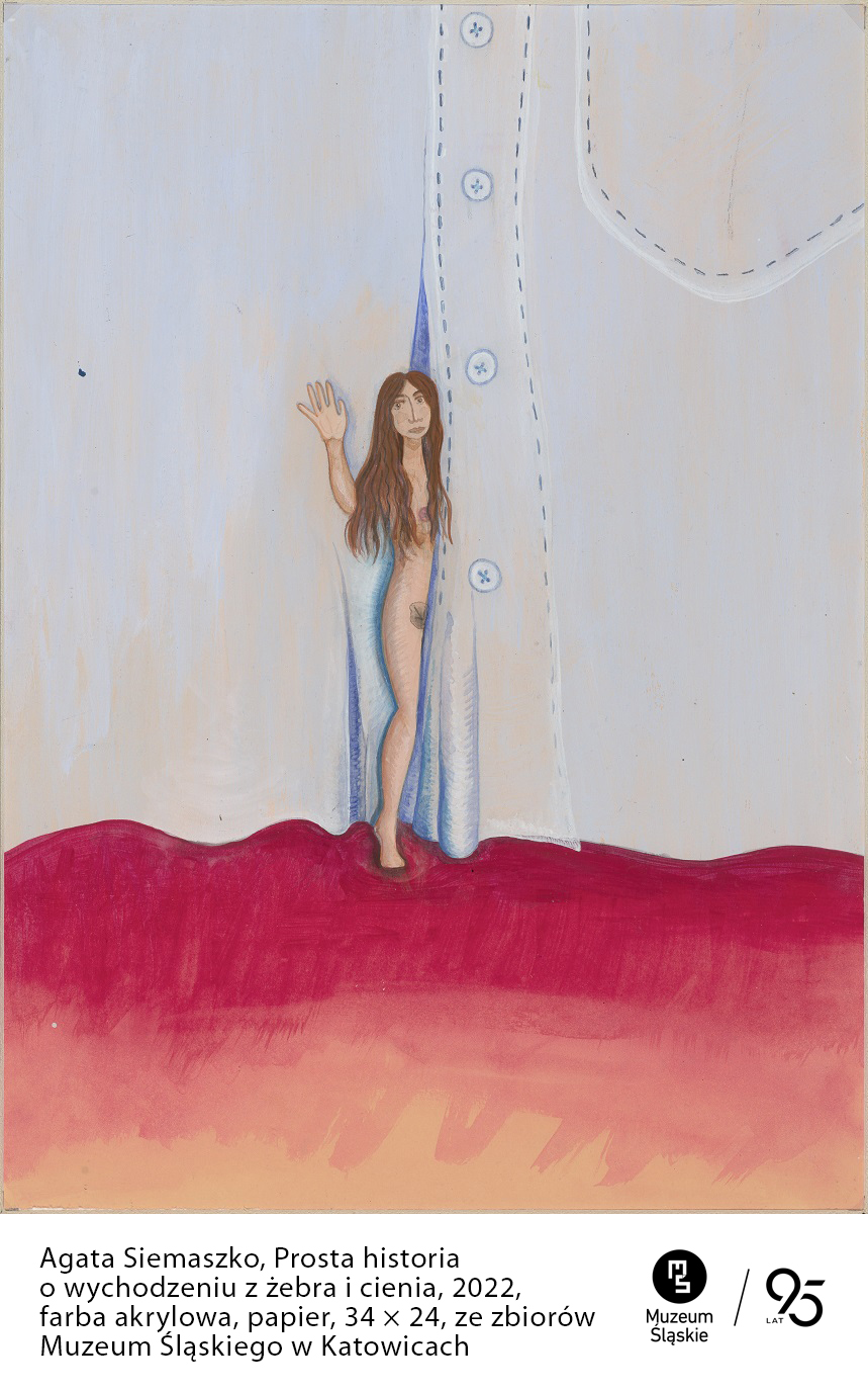 /media/229/download/Agata%20Siemaszko_Prosta%20historia%20wychodzenia%20o%20wychodzeniu%20z%20%C5%BCebra%20i%20cienia_info.jpg?v=1