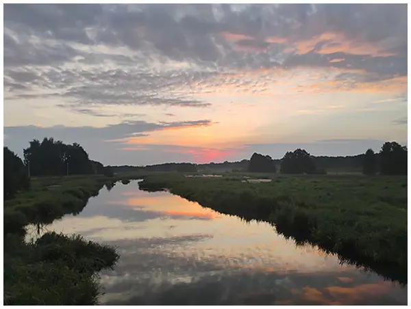 trashed-1728024923-IMG_20240818_052647502